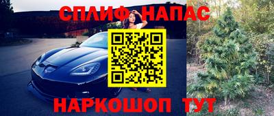дмт Гусев