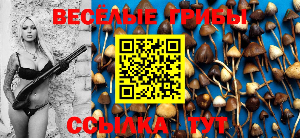 купить наркотики сайты  Псилоцибиновые грибы Psilocybe  Вход с VPN  Междуреченск 